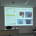 【視察報告】藻場の再生から次の活動の原資を得る―佐賀県唐津市のブルーカーボン