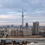 東京スカイツリー定点観測所