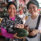 『訪問者』の画像