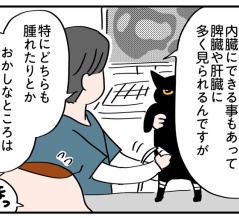 ポルちゃんが肥満細胞腫③