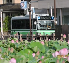 ２６年８月表紙