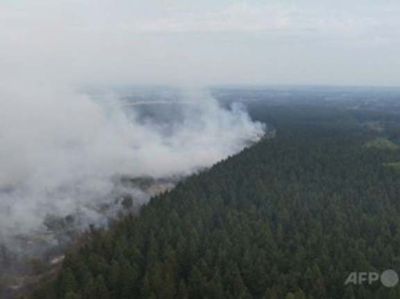 ベルギー　史上最大の山火事発生　東京ドーム640個分が焼失