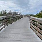 青い郊外の空の下・黄色と緑のセロファンの花たち