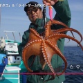 NEWタックルで狙う常磐のマダコ・YouTube
