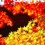 介護がきた・50代から始める独身女性の仕事と生き方