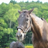 『雨の日は』の画像