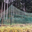 東吉野ログ生活882日目・ミョウガの植え付け