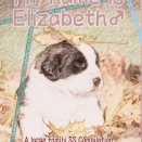 【12/04】俺の名前はエリザベス♂大家族SS総集編 2016～2025【Kindle配信】