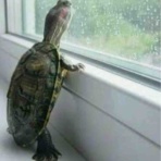 africasi official blog