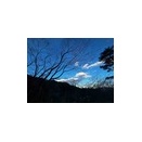 〈2026年元旦♪〉2026/1/1