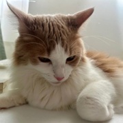 1日に2回、獣医さんへ行きました