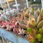 ここに居ることが全て。