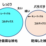 『光マイクロバブルとマイクロバブルフォーム(3550回記念)(19)』の画像