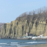 『小樽市の火山岩、火山砕屑岩の産状、蘭島と桃岩の凝灰角礫岩、凝灰岩』の画像