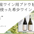 ＼萩産ブドウ100％ワインが誕生／ハギサギヴィンヤードさまの「0.0.1」先行販売がスタートしました