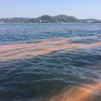 こじ丸　よろず紀行