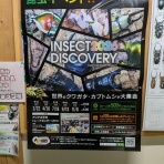 Beetrue
