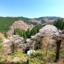 奈良県吉野のお山の春・夏・秋の定点観測