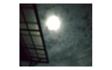 『検診。過ぐ世現つ世紡ぐ糸MM557』の画像