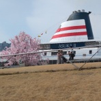 めざせ50代からサブ3、そしてその向こうへ