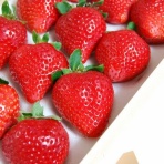 すらるど - 海外の反応