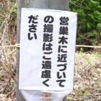 ガハろぐNewsヽ(･ω･)/ｽﾞｺｰ