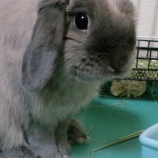 『そら☆Birthday~初めての誕生日』の画像