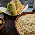 コシアブラをとりに行くも・・・