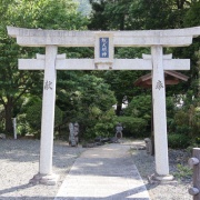 【岡山】　湯原温泉で、はんざきに出会う