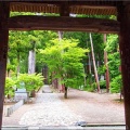 5/30～6/2間で、ノンビリと「七面山〝敬慎院・奥の院〟」に参詣でした(07)