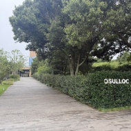 【チェジュ】OSULLOC TEA TERRACE MATCHA NOODLE BAR