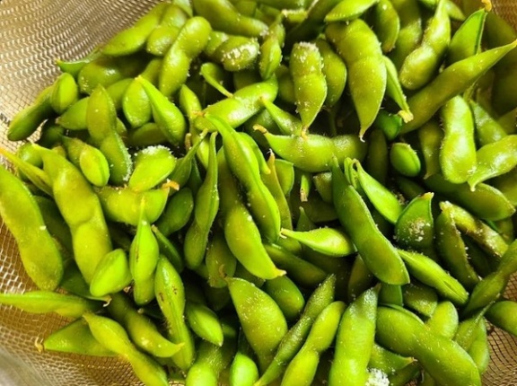新鮮な茶豆を詰め放題！『青木農場』の作業小屋で『黒埼茶豆B級品の詰め放題』開催！8月中の火曜〜金曜。完全予約制！