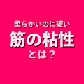 柔らかいのに硬い筋肉「筋の粘性とは」