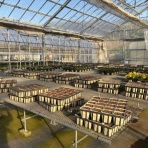 yuika～結花～Hanayoshiの毎日