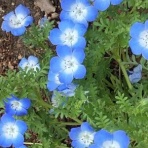 キミノトナリ。