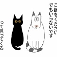 猫の胃腸炎
