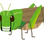 【ロシア】　異常な高温でバッタが大量発生