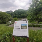 ウシ子とウシ夫の牛歩旅