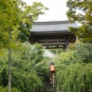 鎌倉　海蔵寺　ノウゼンカズラ、キキョウなど