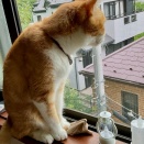 （6385）お休みじゃない休日。