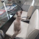 ��Ź����򥢥�����õ�����Ƥ��������夭�����ᤷ���椬�Ȥ�ǭ(^_^)