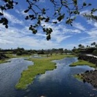 『パぴとの闘い。過ぐ世現つ世紡ぐ糸MM508』の画像