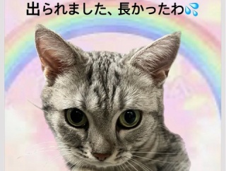 ICUに4年半、、、セリーヌが自由になれました💓