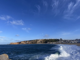 新鮮なマッシュルーム配達で