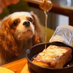 【悲報】犬カフェ（月給16万円）のワイ、結婚諦めるwwwwwwwwwwwwwwwwww