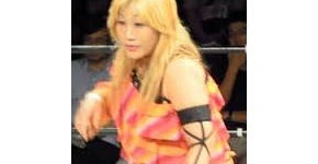 女子プロレスの美人たちｗｗｗｗｗｗｗｗ