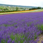 人材ドックのブログ