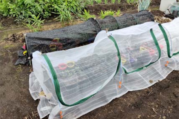 早期 定年退職したオヤジの投資blog