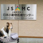 メロディ＆ミニーの写真館