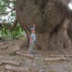 「昔むかし」のその昔のお話(童話)       作：千葉太郎